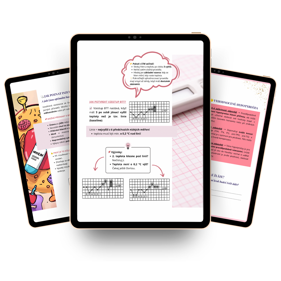 Co získáš uvnitř e-booku