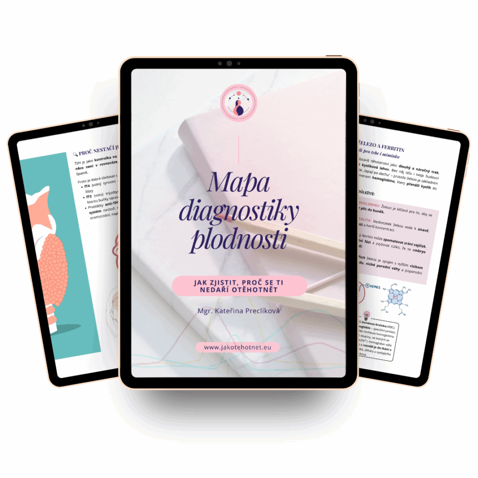 E-book Mapa diagnostiky plodnosti